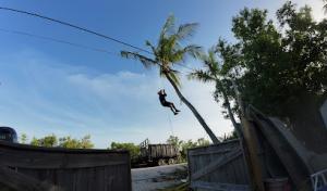 Keywest Tree Care