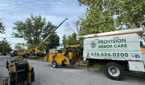Provision Arbor Care