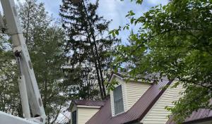 Ryan Cunningham Tree & Land Services