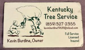 Kentucky Tree Service