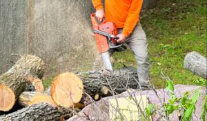 Woodmaster Tree Service