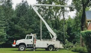 D&M Tree & Land Services