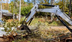 High Vision Tree Services