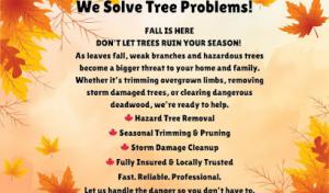 MJ Tree Service
