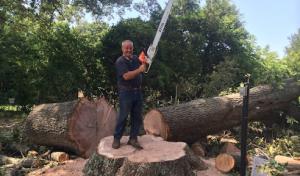 Mark Tuttle Tree Service