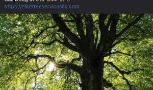 AA Septic Service