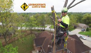 Livingston's Lawn & Tree Service