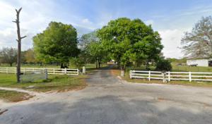 Kenneth Collins Tree Service