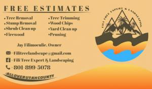 FILI Tree Expert & Landscaping