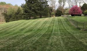 Caballeros Tree Service & Landscaping