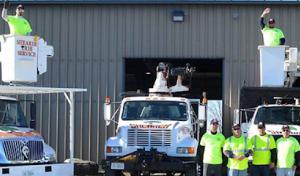 Shearer Tree Service