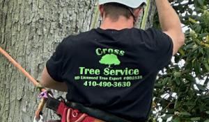 Cross Tree Service