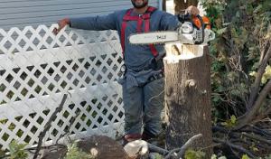 KTM Trees Expert & Landscaping