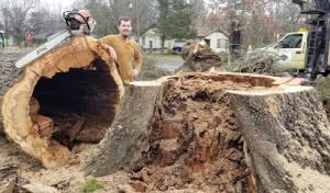 Cothran's Tree Service