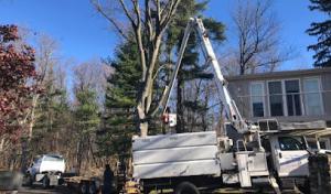 Jamie's Cut Rite Tree Service