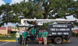 Affordable Tree & Landscape