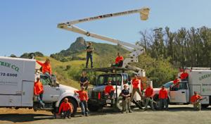 Greenvale Tree Company