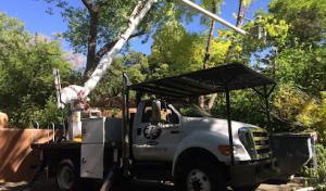 Coates Tree Service