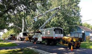 Joe Meyer Tree Service