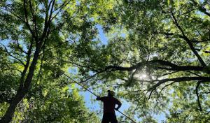 Missouri Arborist Company