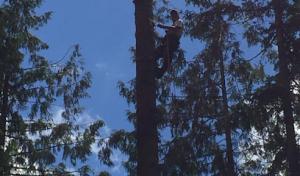 H & M Tree Service