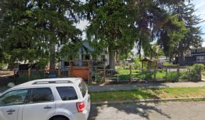 Double Black Diamond Tree Services