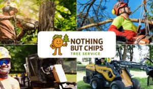 Nothing But Chips - Tree Removal + Land Clearing