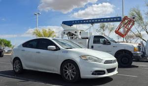 Tree trimming & removals - yard clean up | Centurion Landscaping