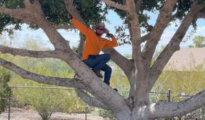 Family Tree Trimming