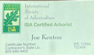 Joe Kenton Tree Service & Certified Arborist