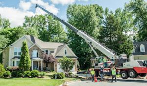 J & D Tree Pros, Inc. of Apex