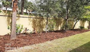 K & C Tree & Shrub Services