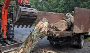 Hardin County Septic Services