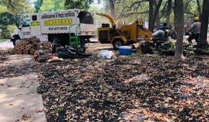 Contreras Landscape & Tree Services