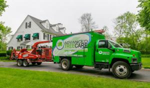 Advanced Tree Care