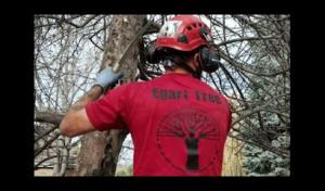 John Egart's Tree Service