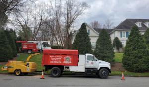Prestige Tree Service