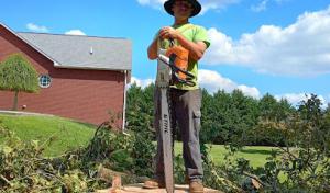Clean Cut Tree Service