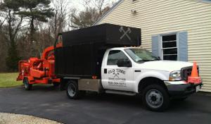 Old Time Tree Cutter