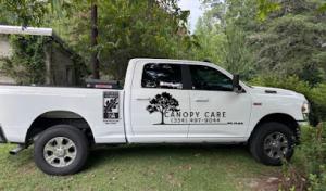 Canopy Care