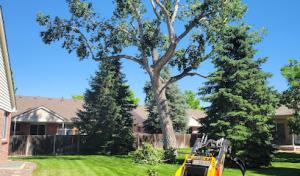 Upfront Septic & Pumping LLC / Vet Owned & Operated