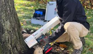 Thompson Tree Care & Consulting