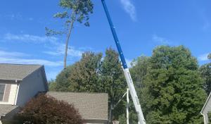 Ferguson Septic Tank Pumping Services