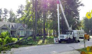 Tree Service Syracuse