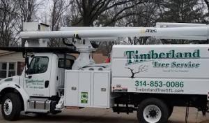 Timberland Tree Service