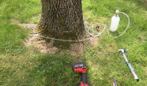 Diamond Edge Outdoor Management