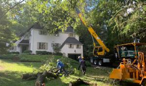 Garro Tree Service & Landscaping