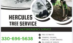 Hercules Tree Service