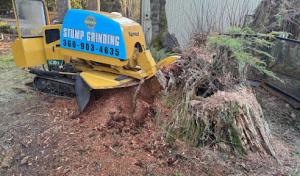 Mickey's Septic Pumping
