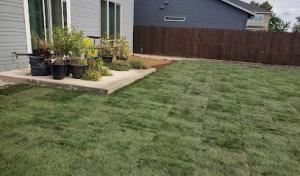 DWR Del Monte Waste Removal